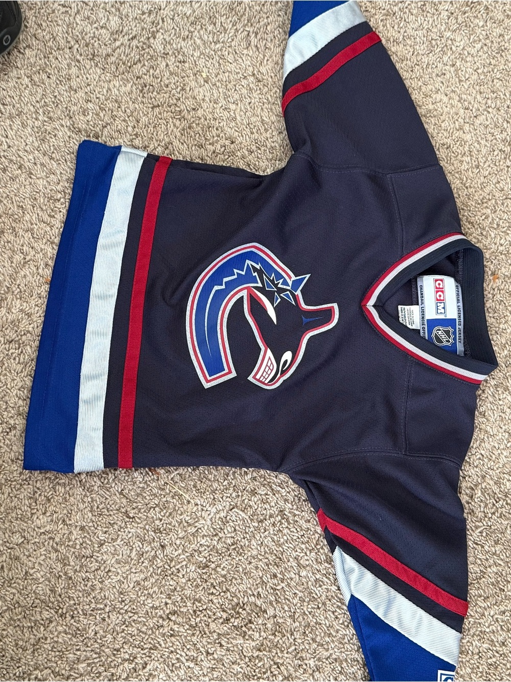 CCM Navy Hockey Jersey with Blue, Red & White - Vancouver Canucks